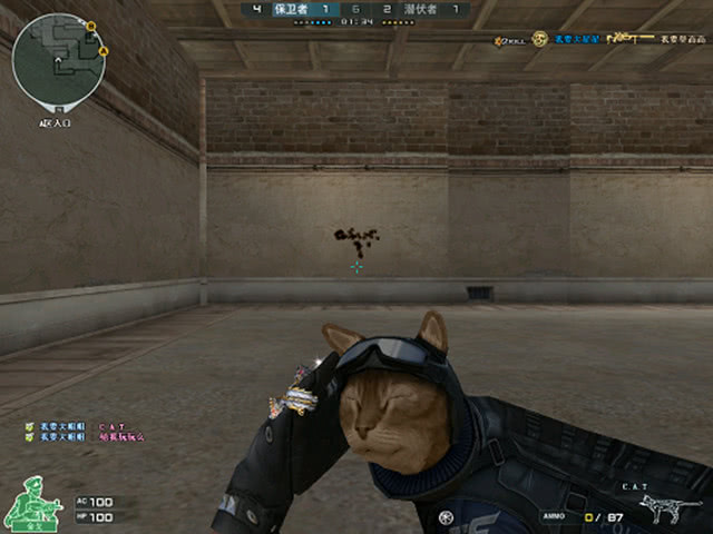 王者荣耀，云缨的故事《擒贼》